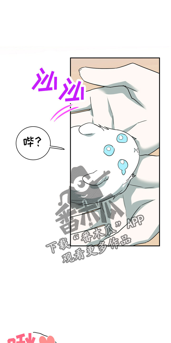 第267话4