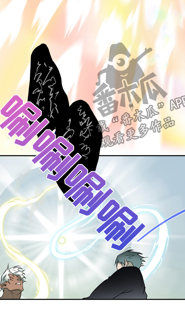第259话11