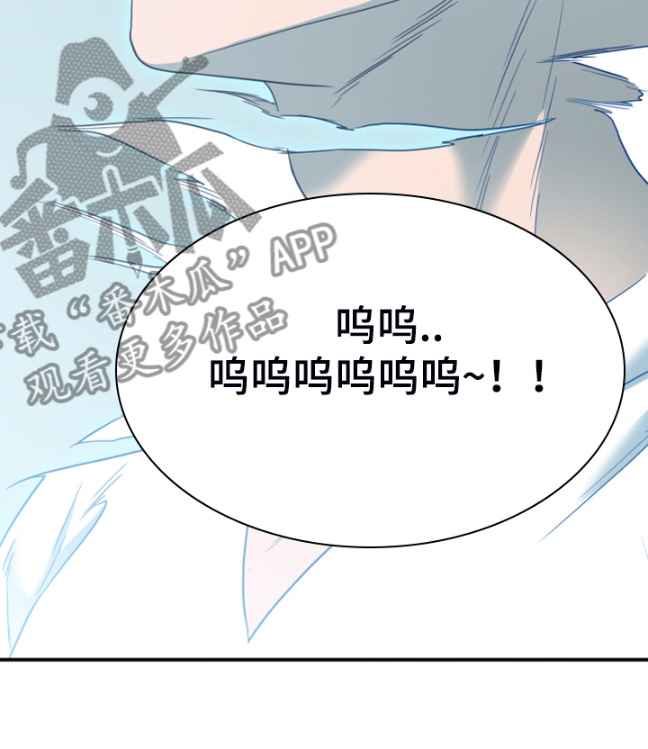 第247话20