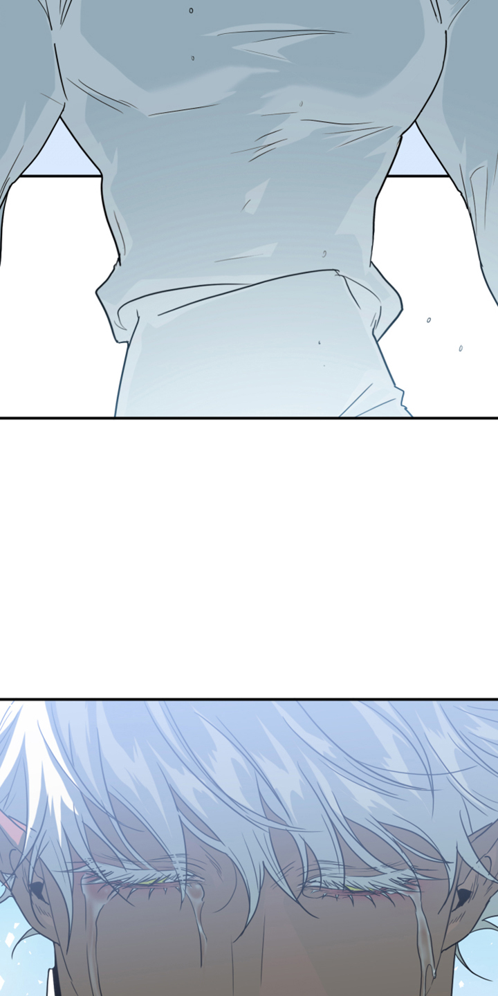 第247话29