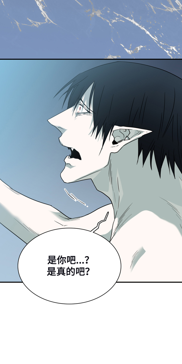 第246话2