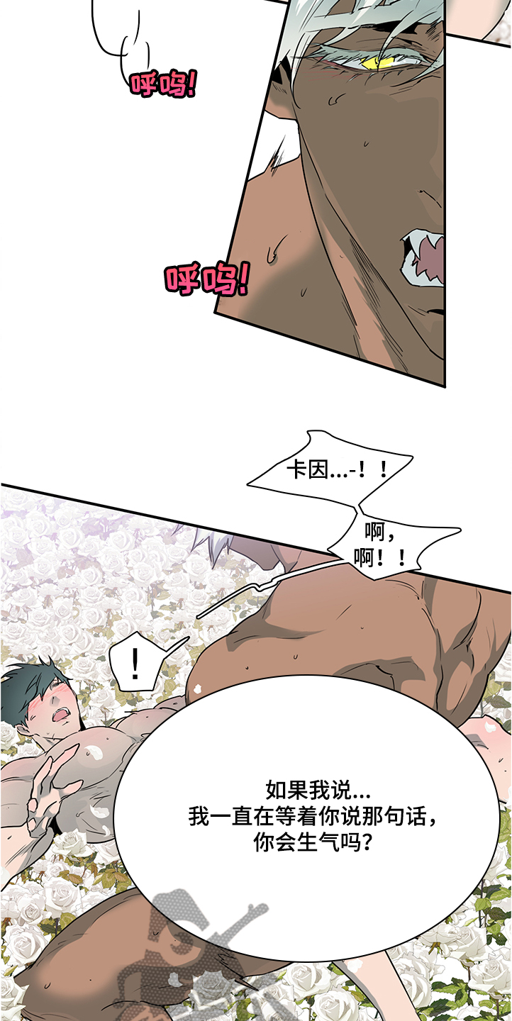 第231话1