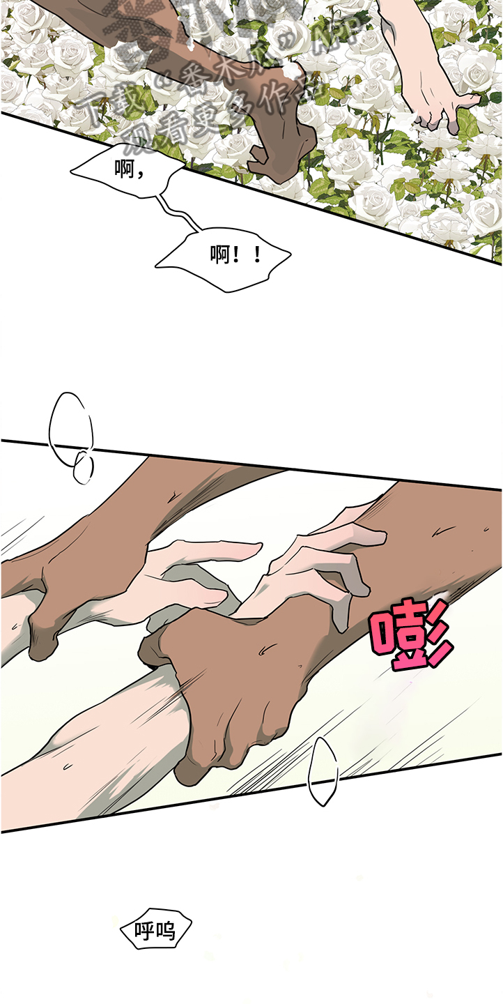 第231话2