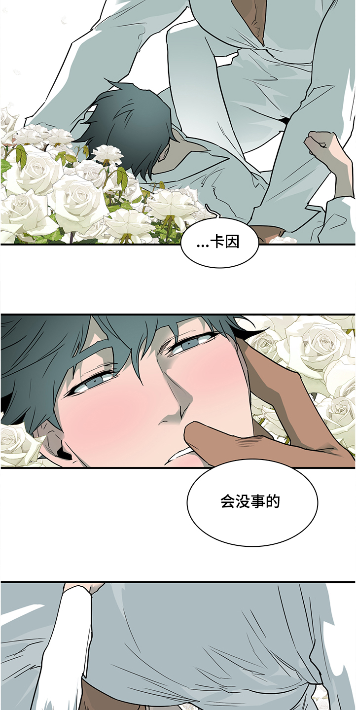 第230话13