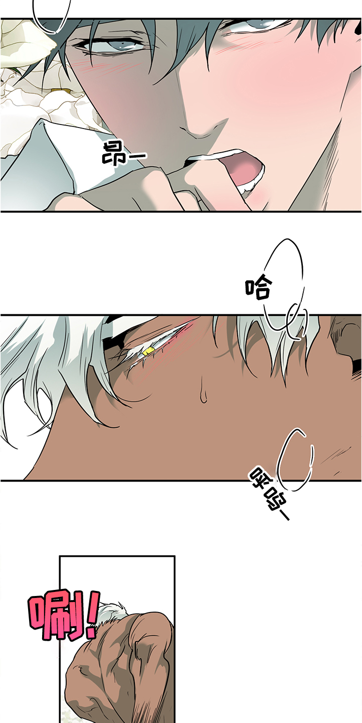第230话17