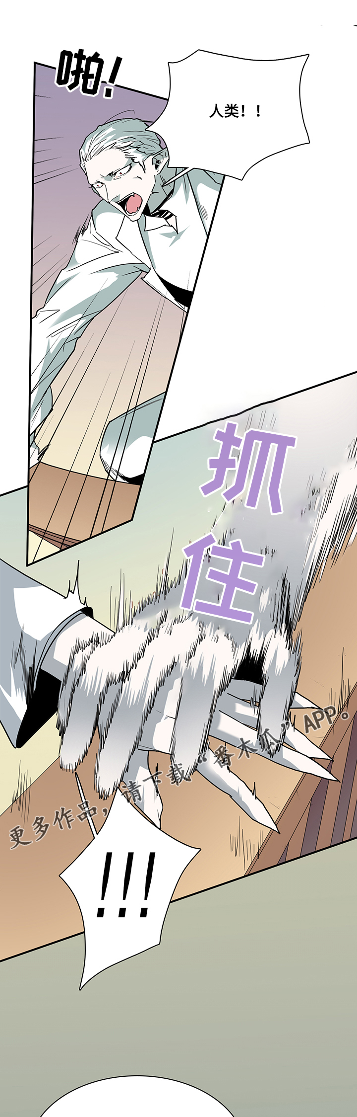 第208话5