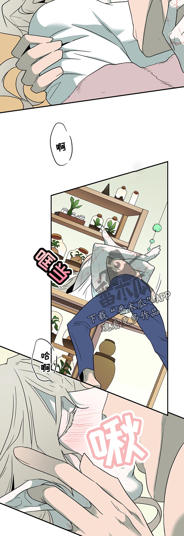 第169话1