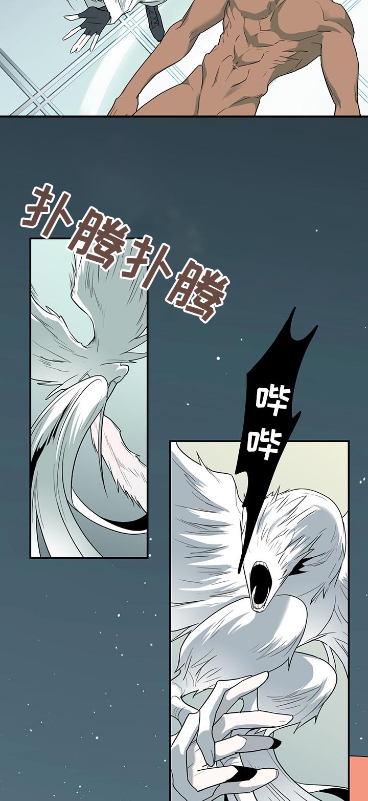 第164话3