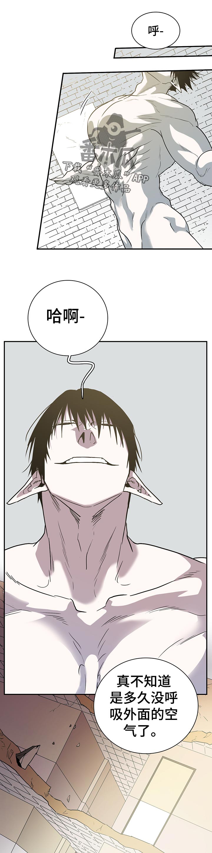 第161话0