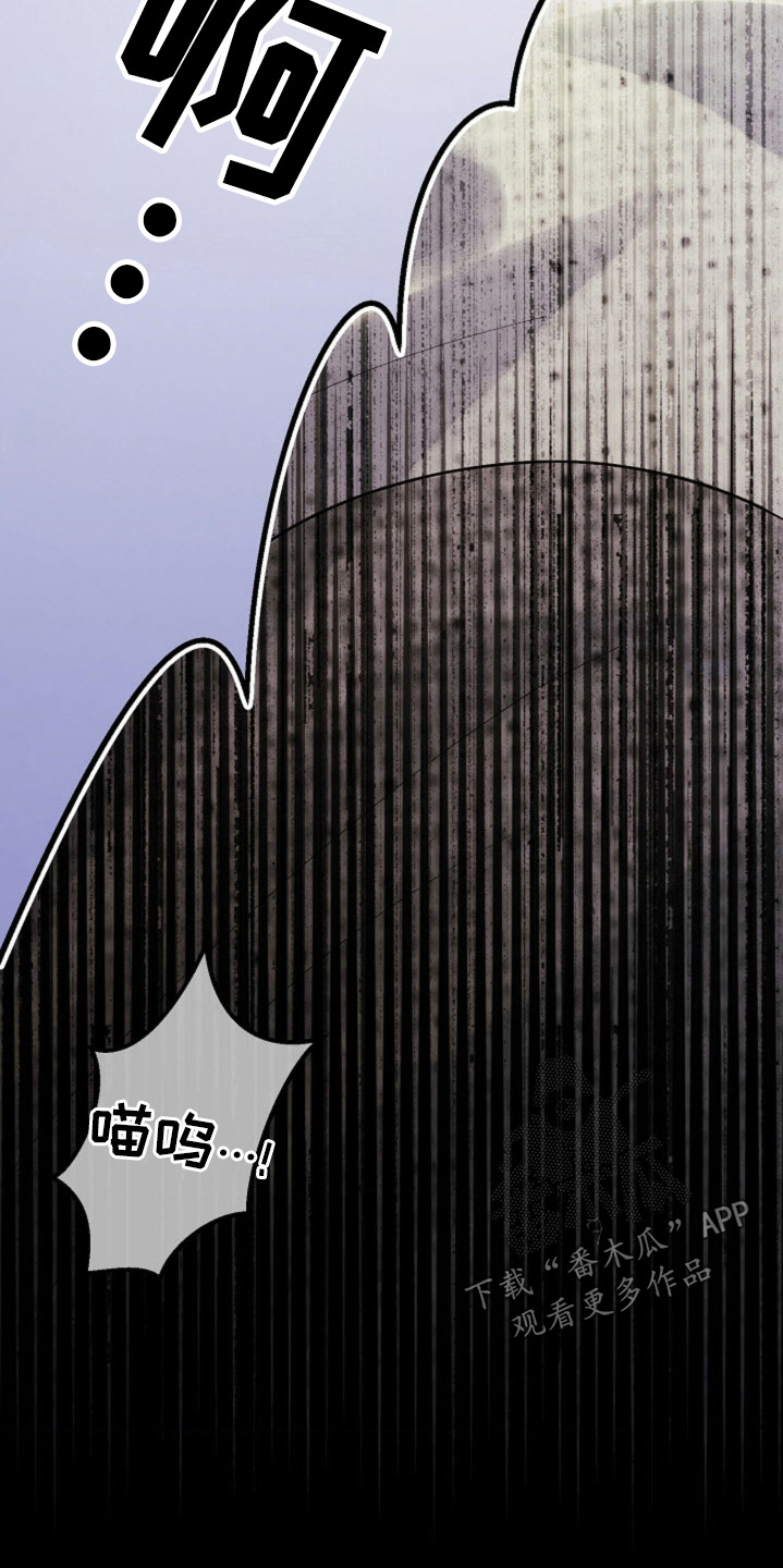第82话6