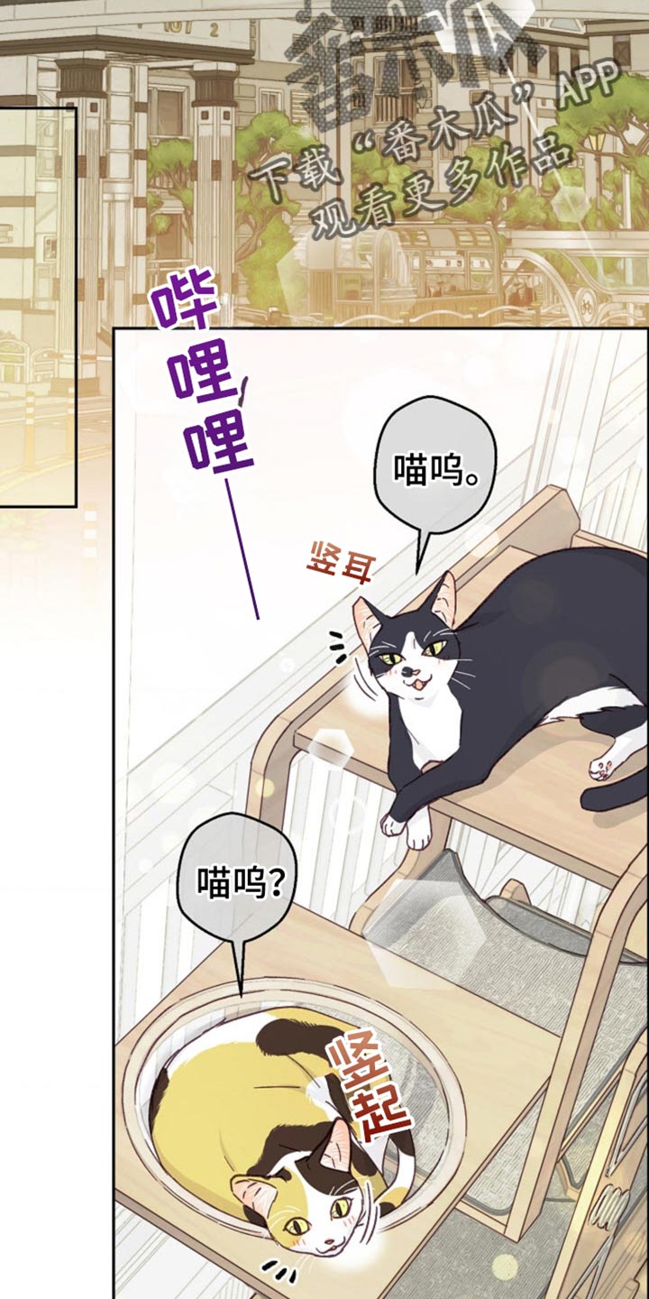 第72话25