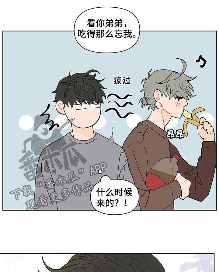 第204话3