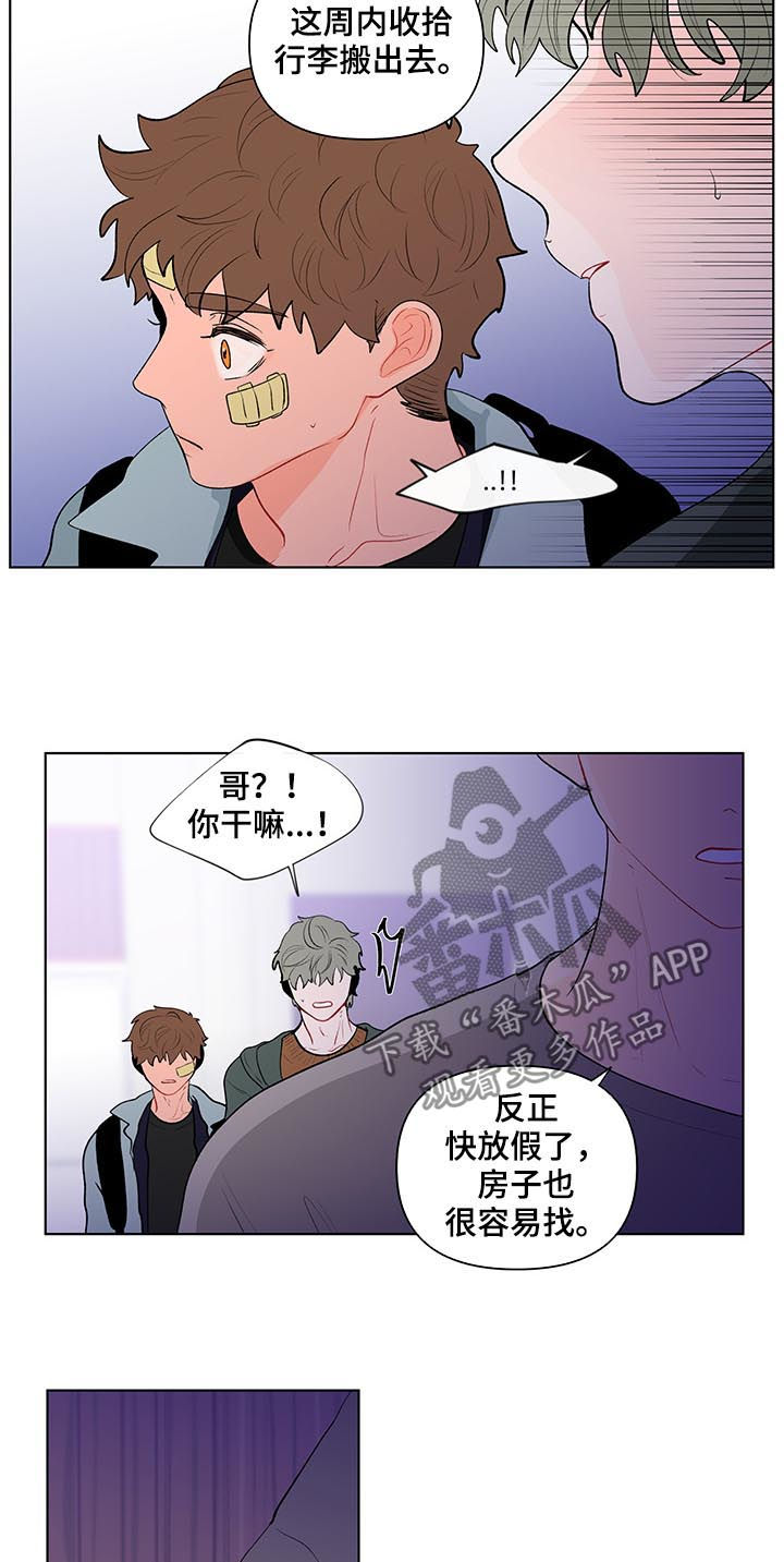 第114话11