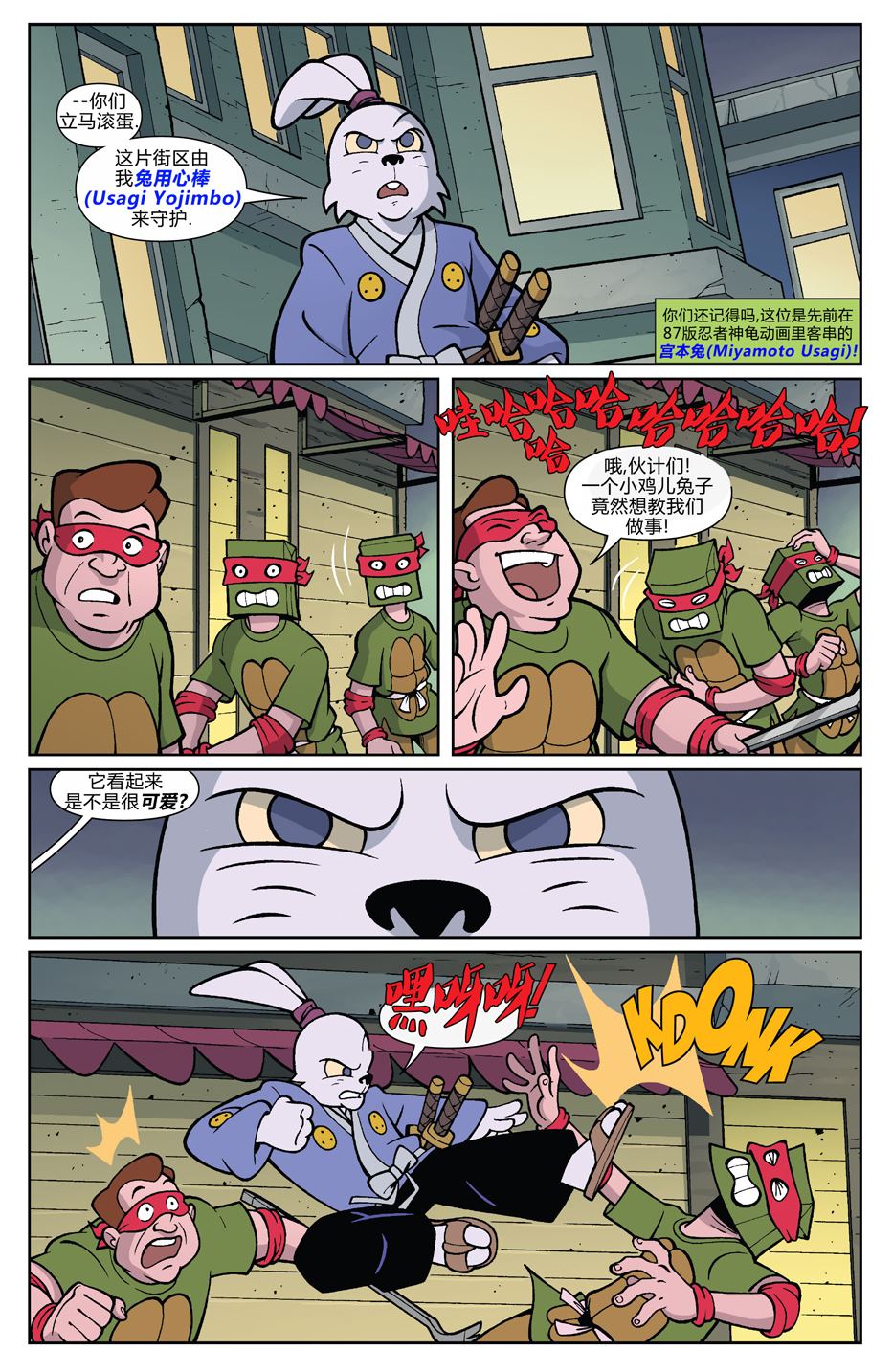 龟兔联动19876