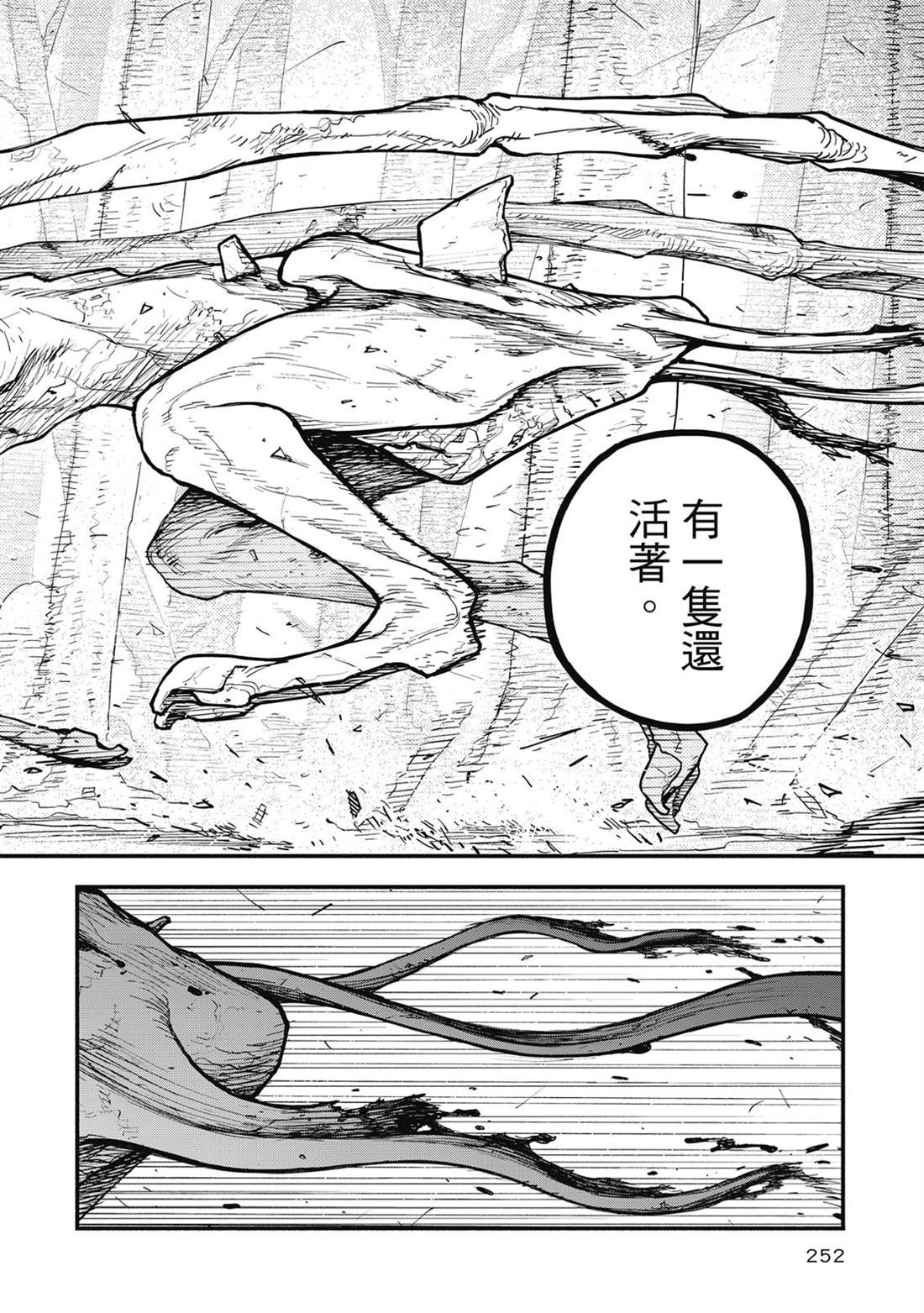 第1卷252
