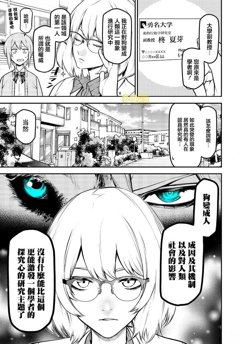 边牧篇4