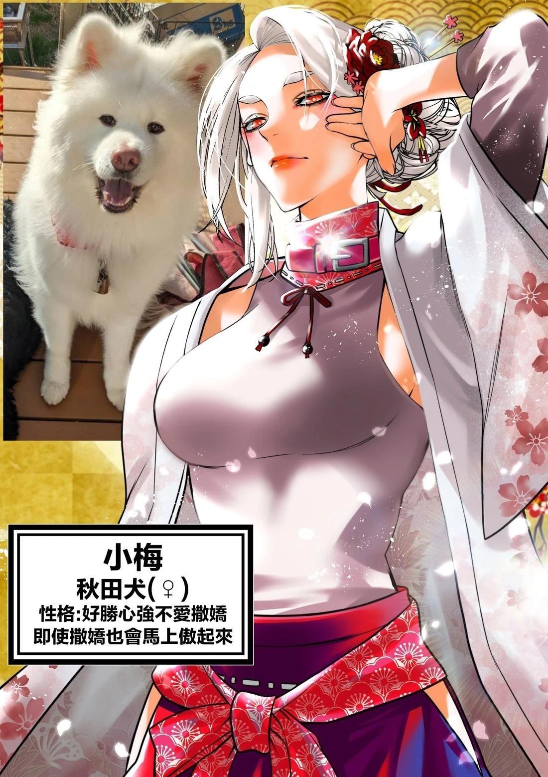 完全相反的王子篇11