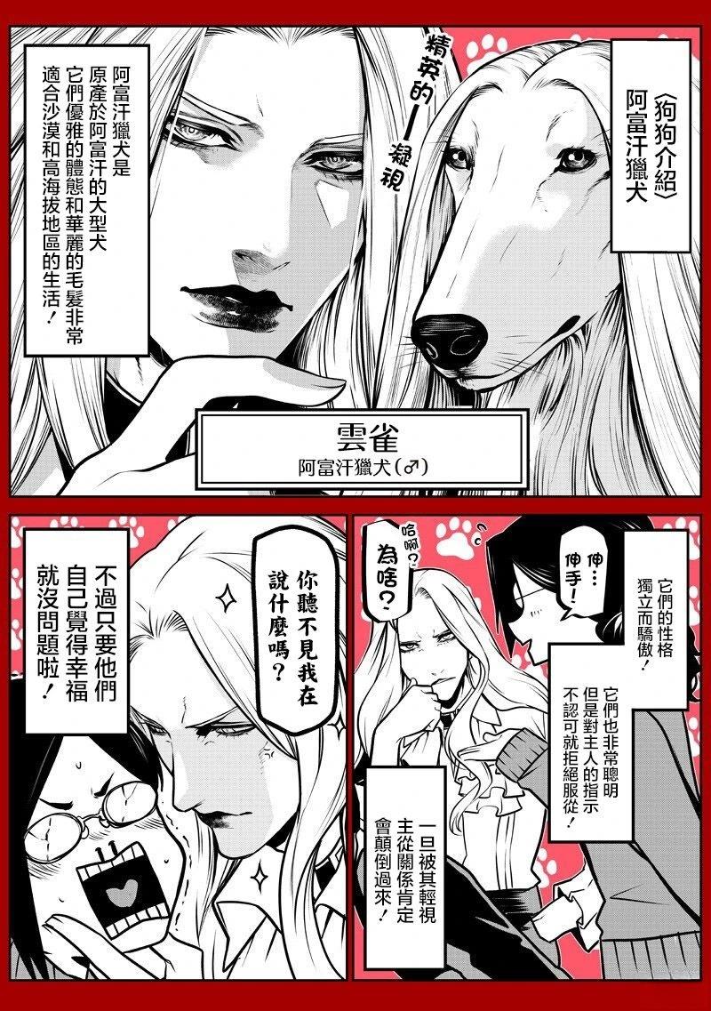 朵古兰的小型犬篇13