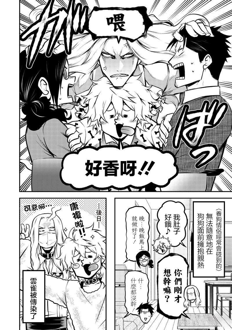 探望萨摩耶篇11