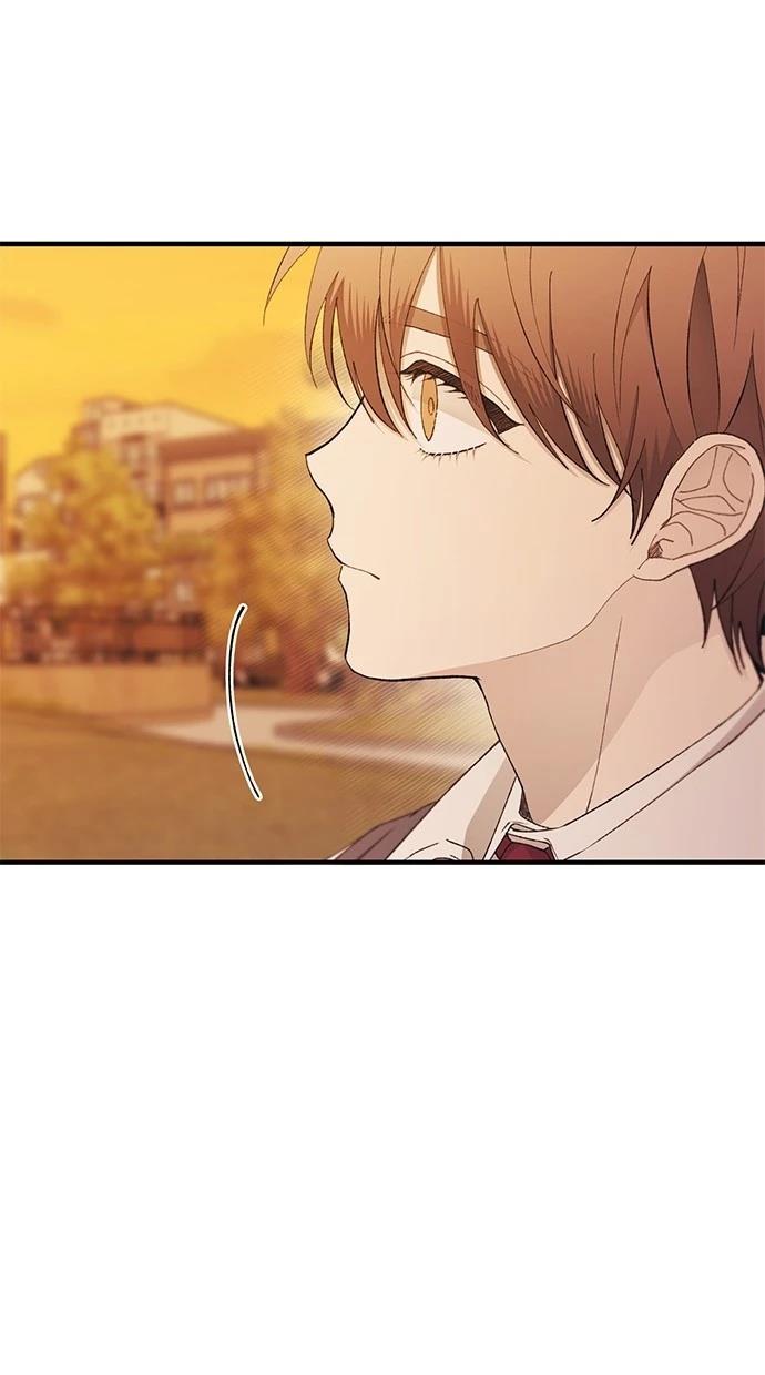 第146话23