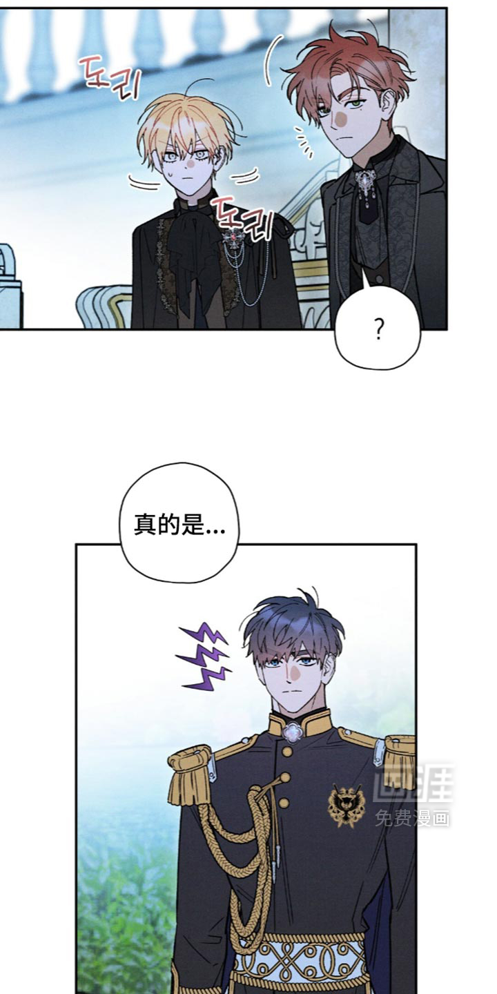 第223话14