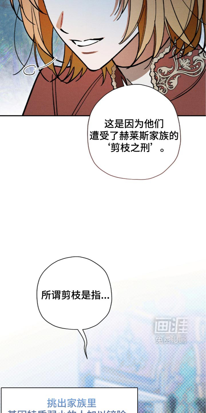 第225话24