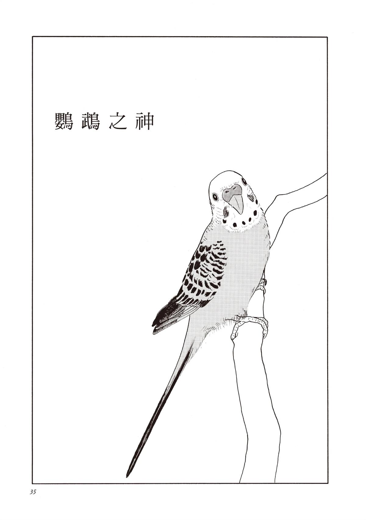 全一卷35