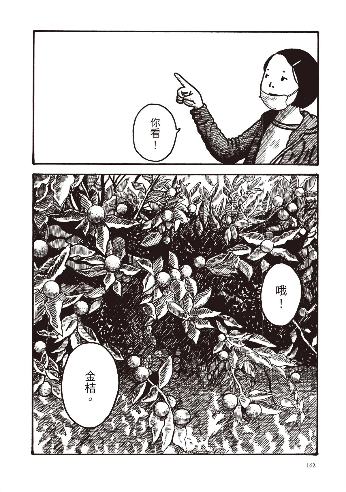 全一卷162