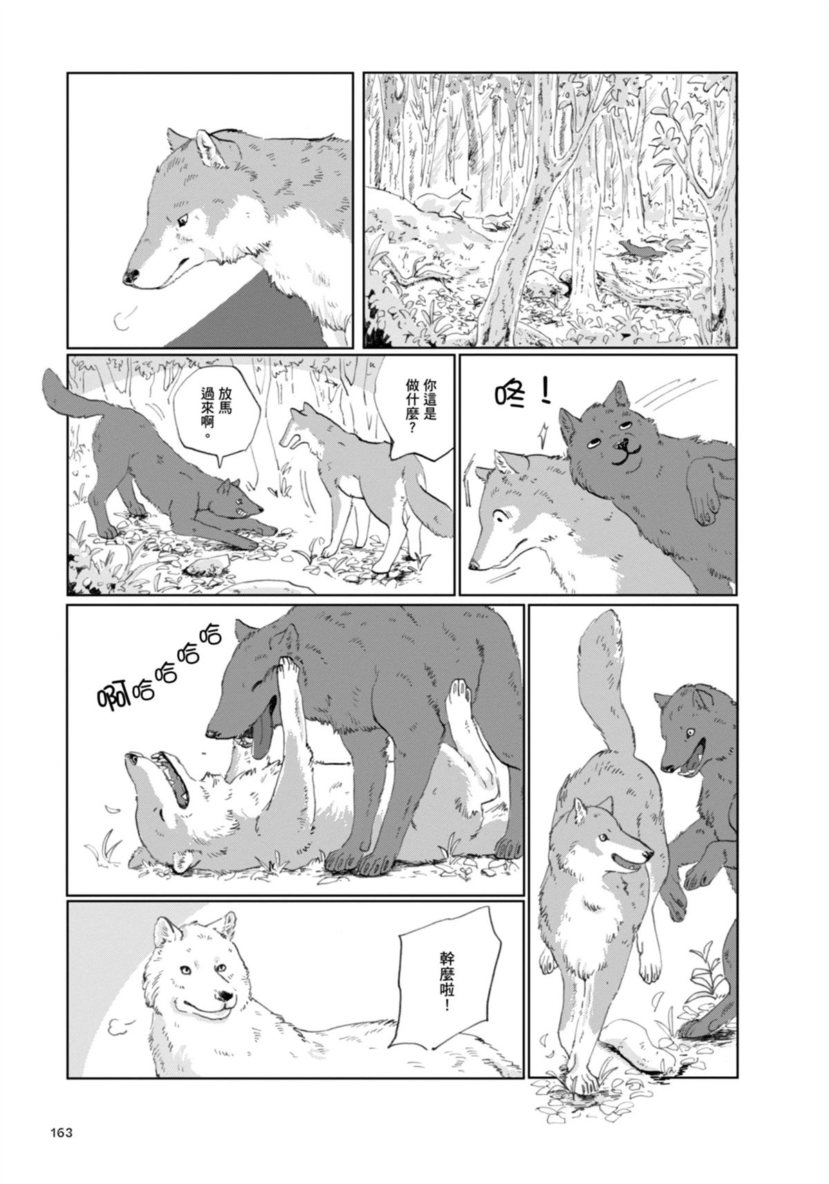 全一卷171