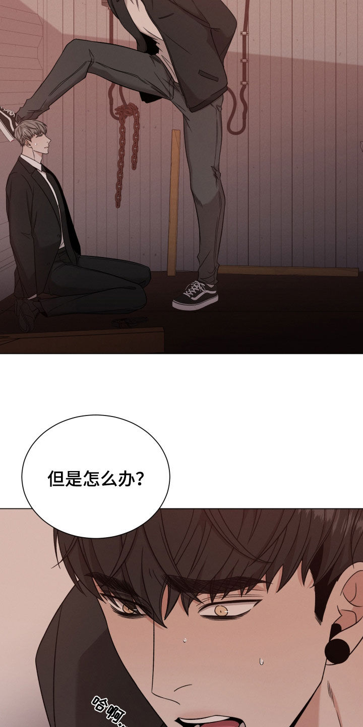 第114话12