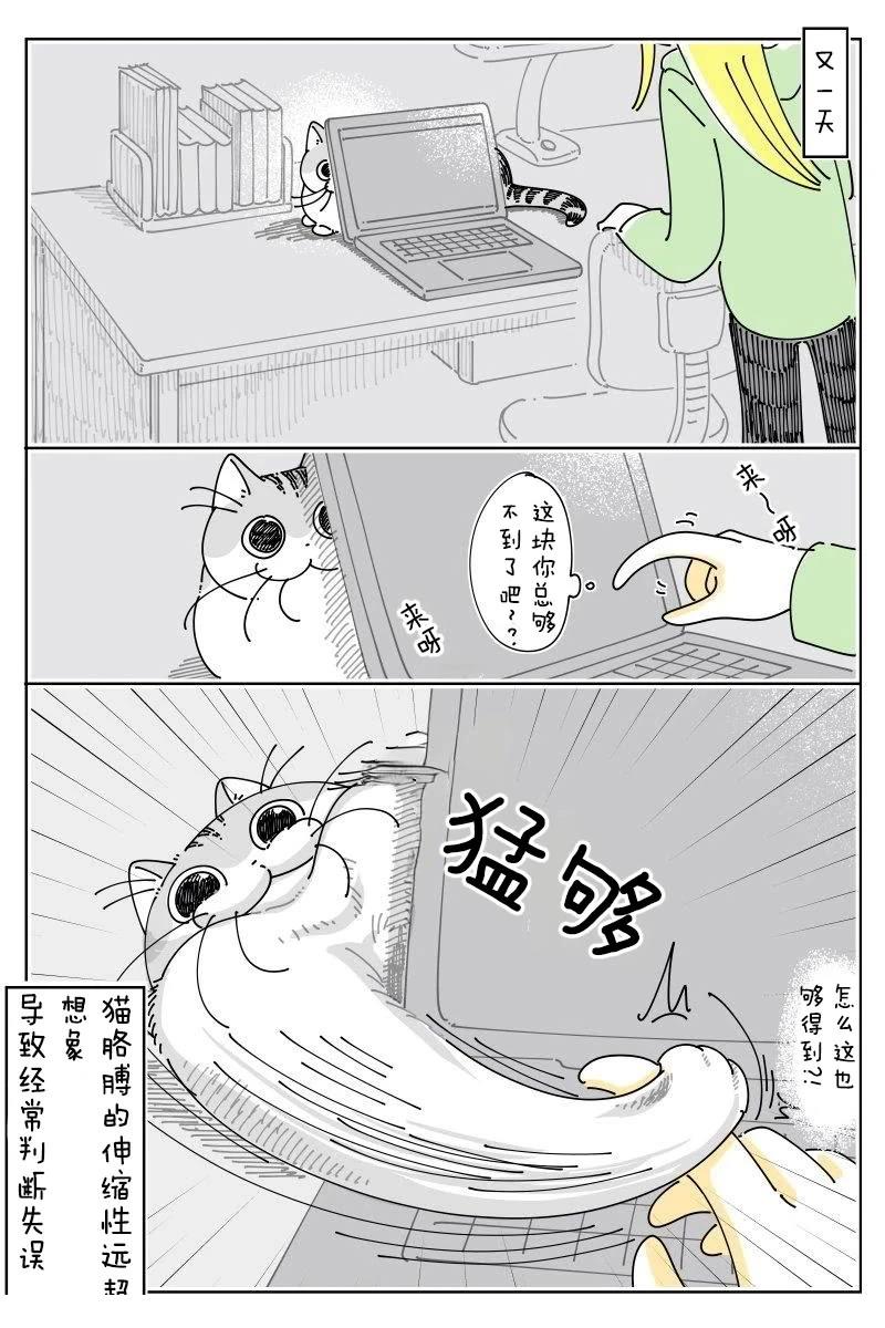 第242话2