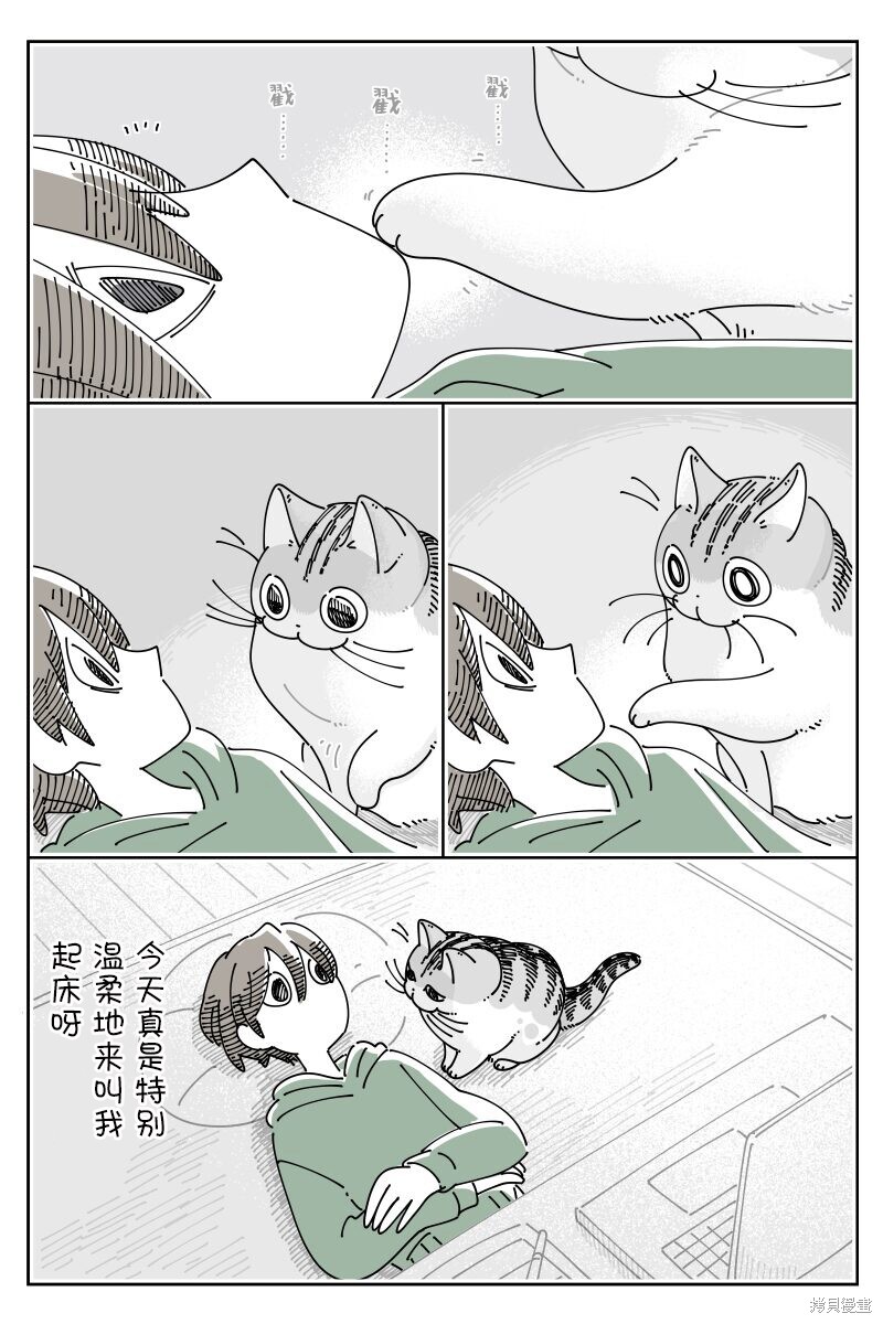 第204话1