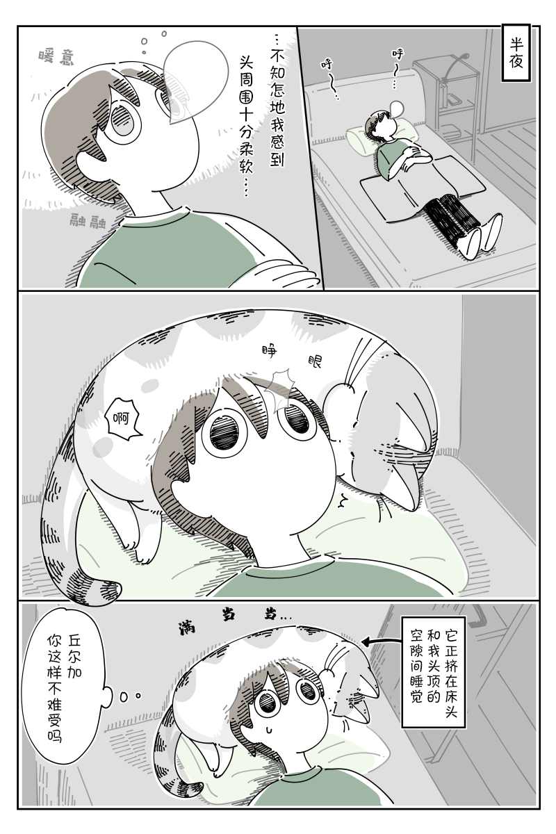 第80话0