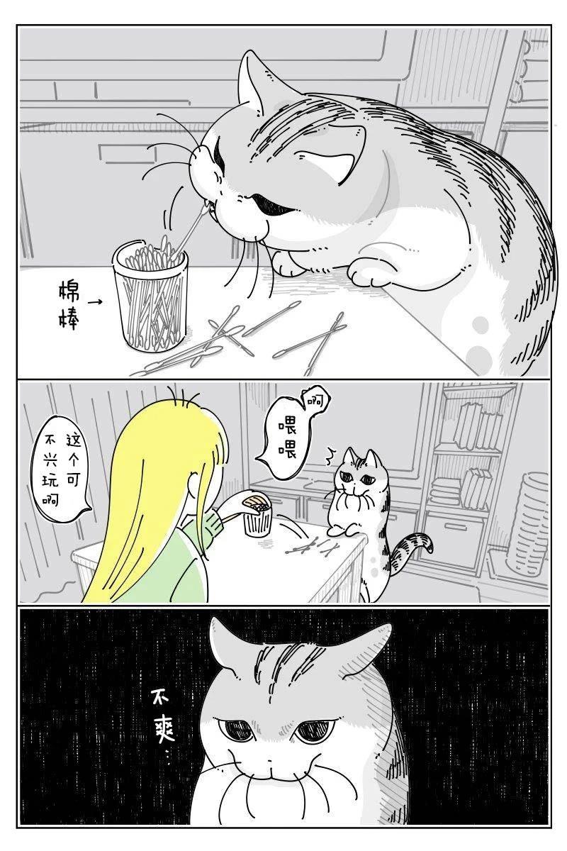 第249话0