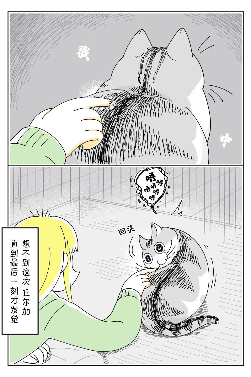 第115话2