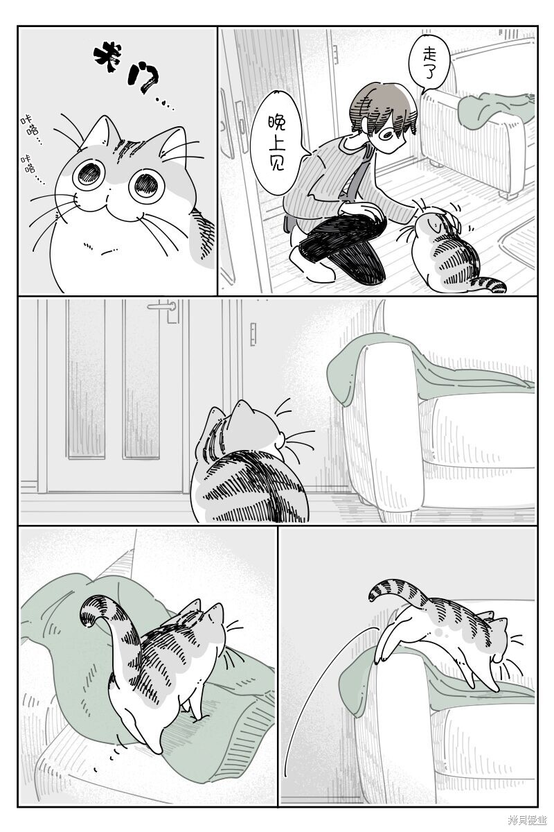 第206话1
