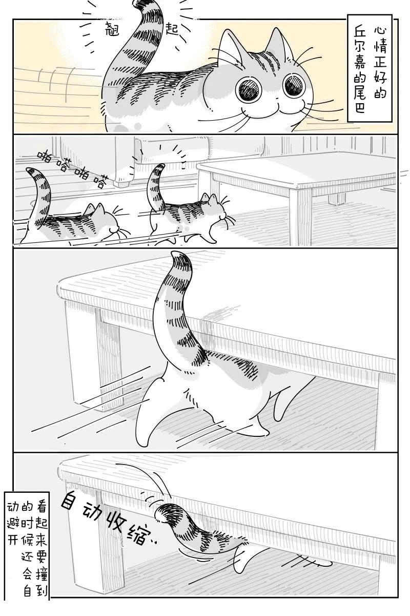 第218话0
