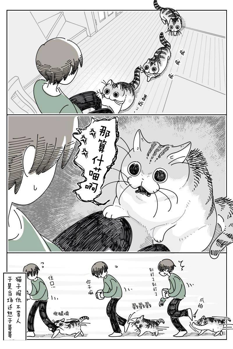 第253话2