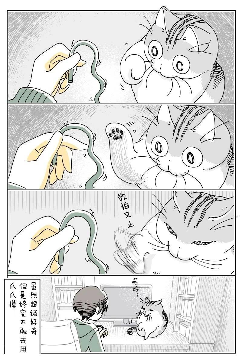 第240话3