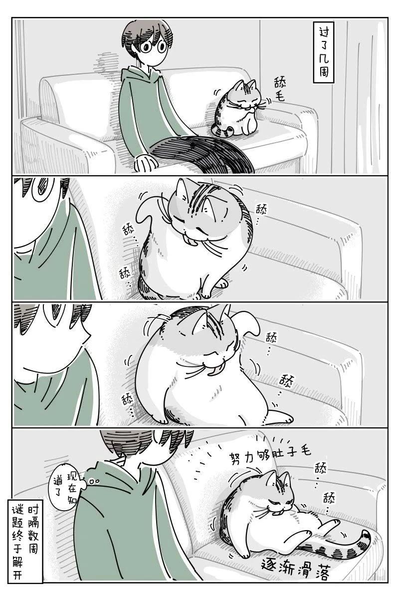 第243话2