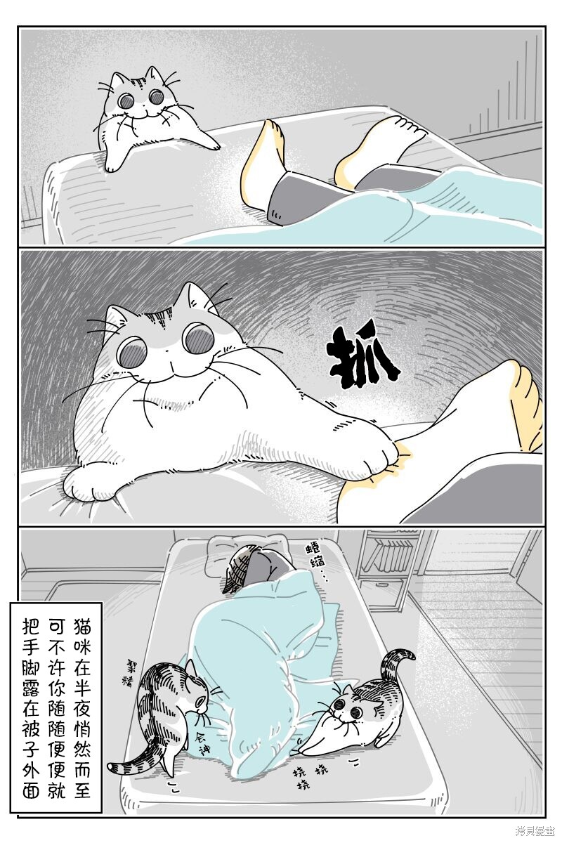 第213话2