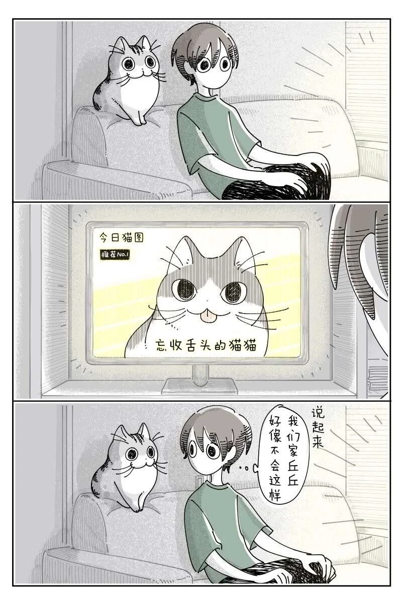 第228话0