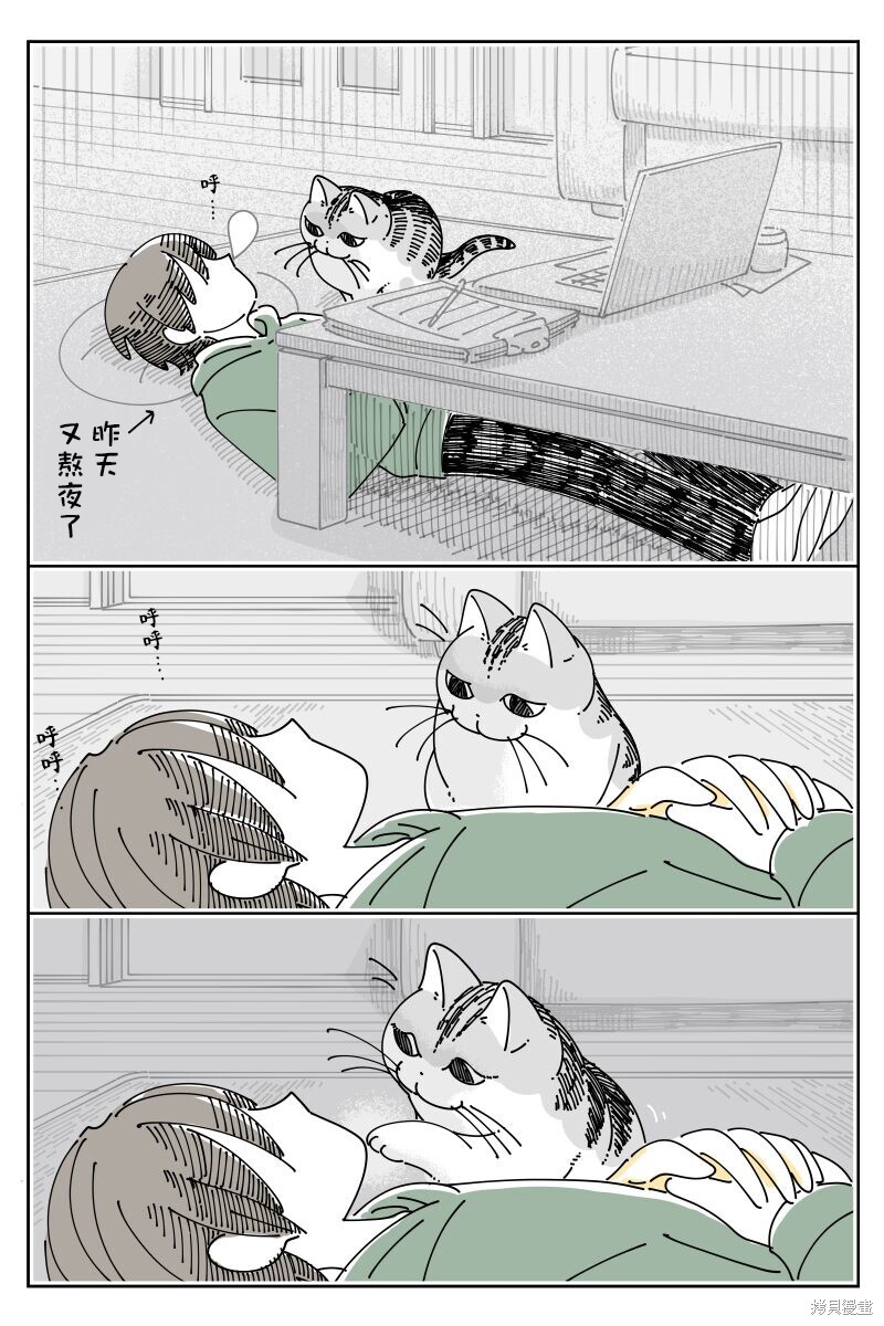 第204话0
