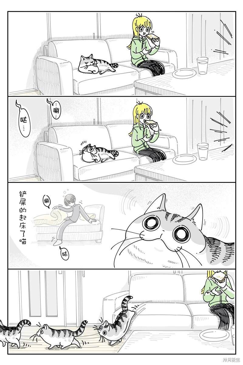 第210话0