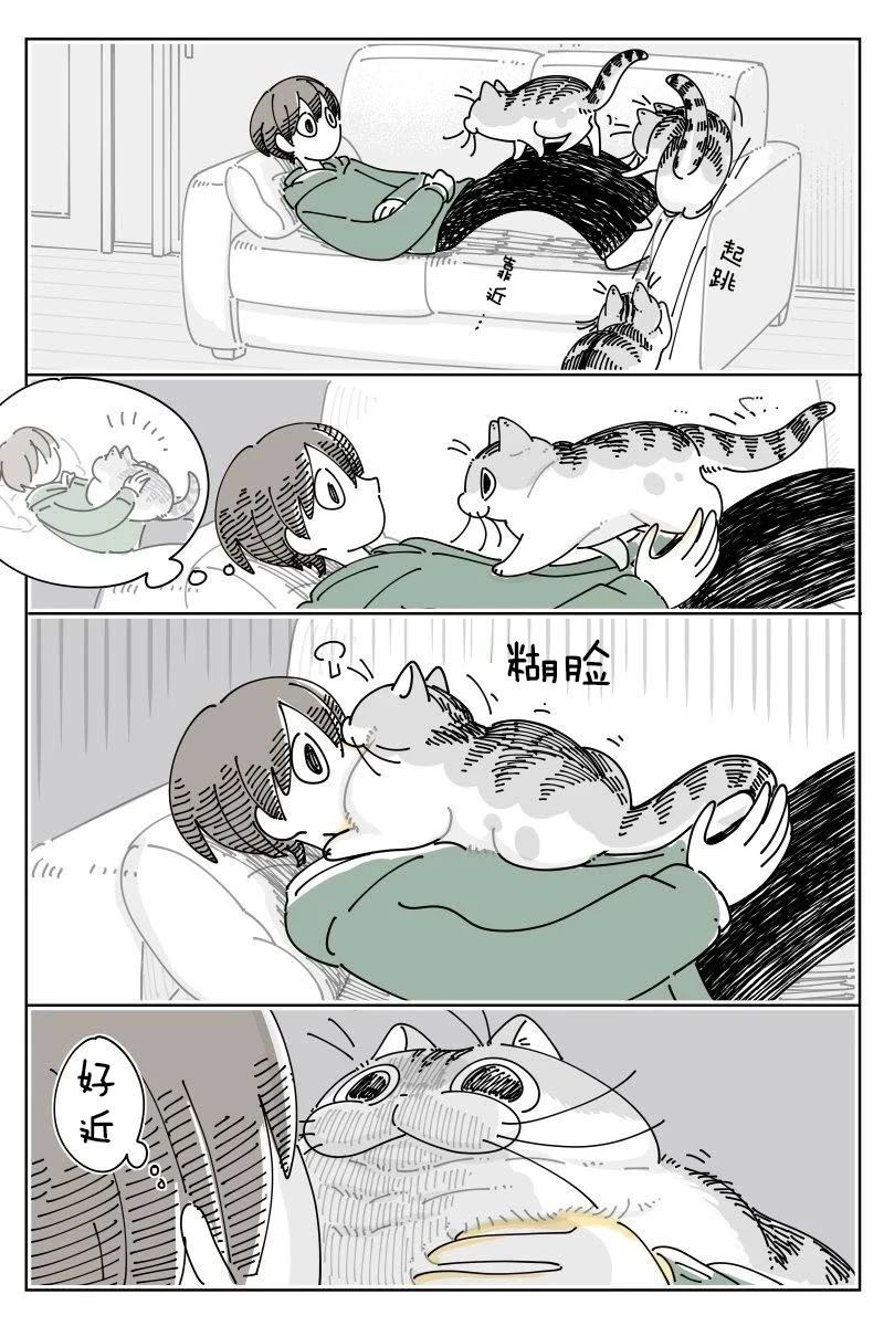 第241话1