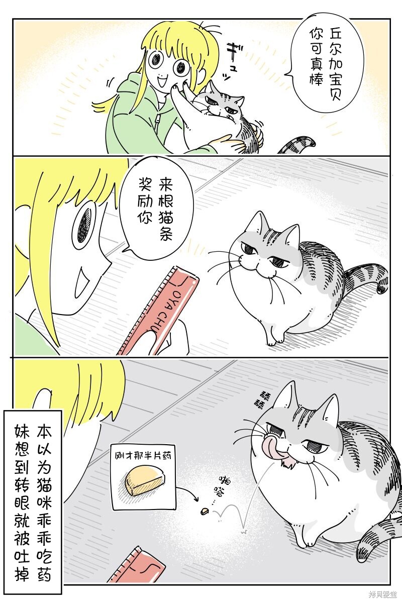 第211话2