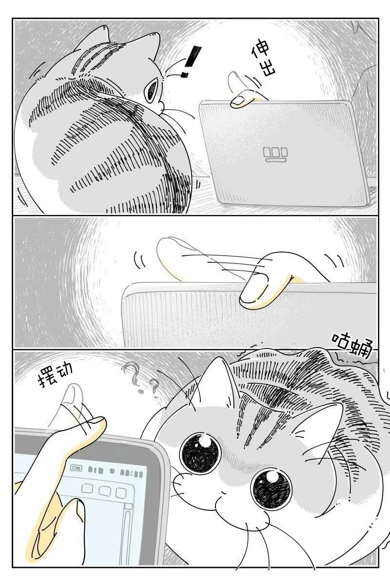 第217话0