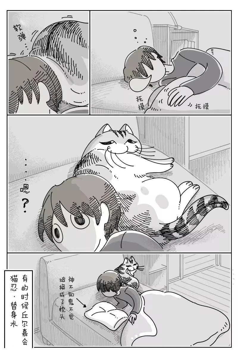 第259话3