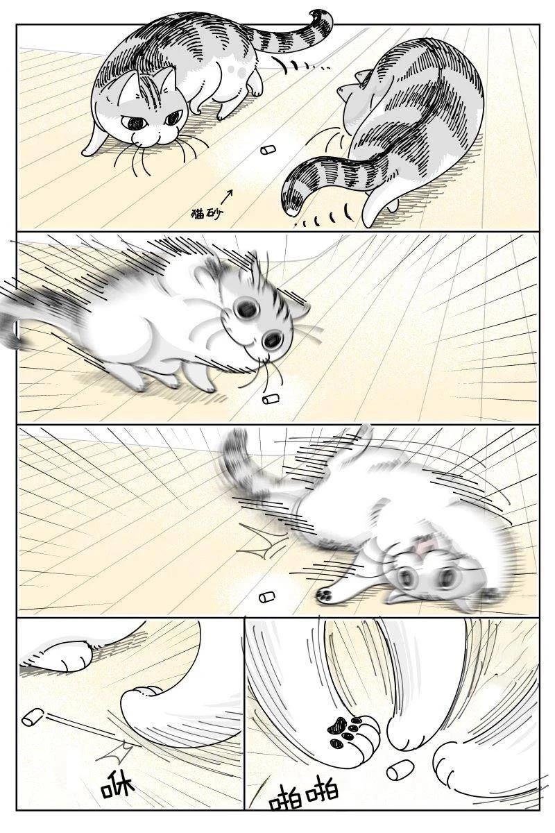 第251话0