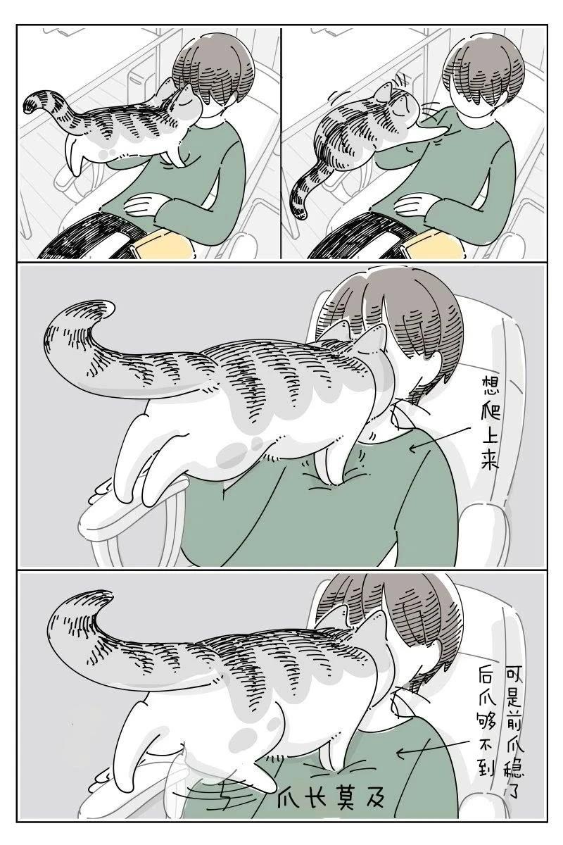 第237话2